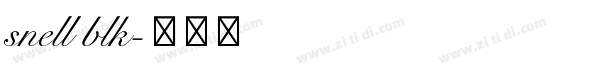 snell blk字体转换